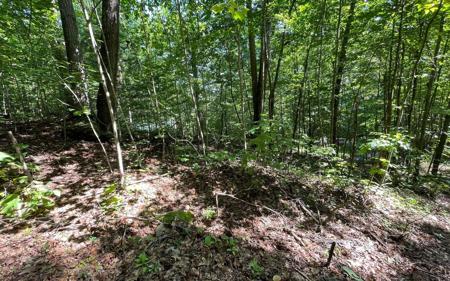 Lot 8D Eagle Heights