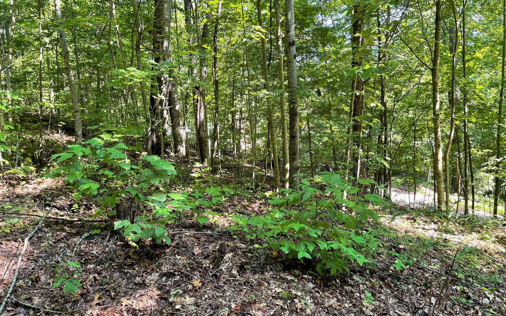 Image 2: Additional View