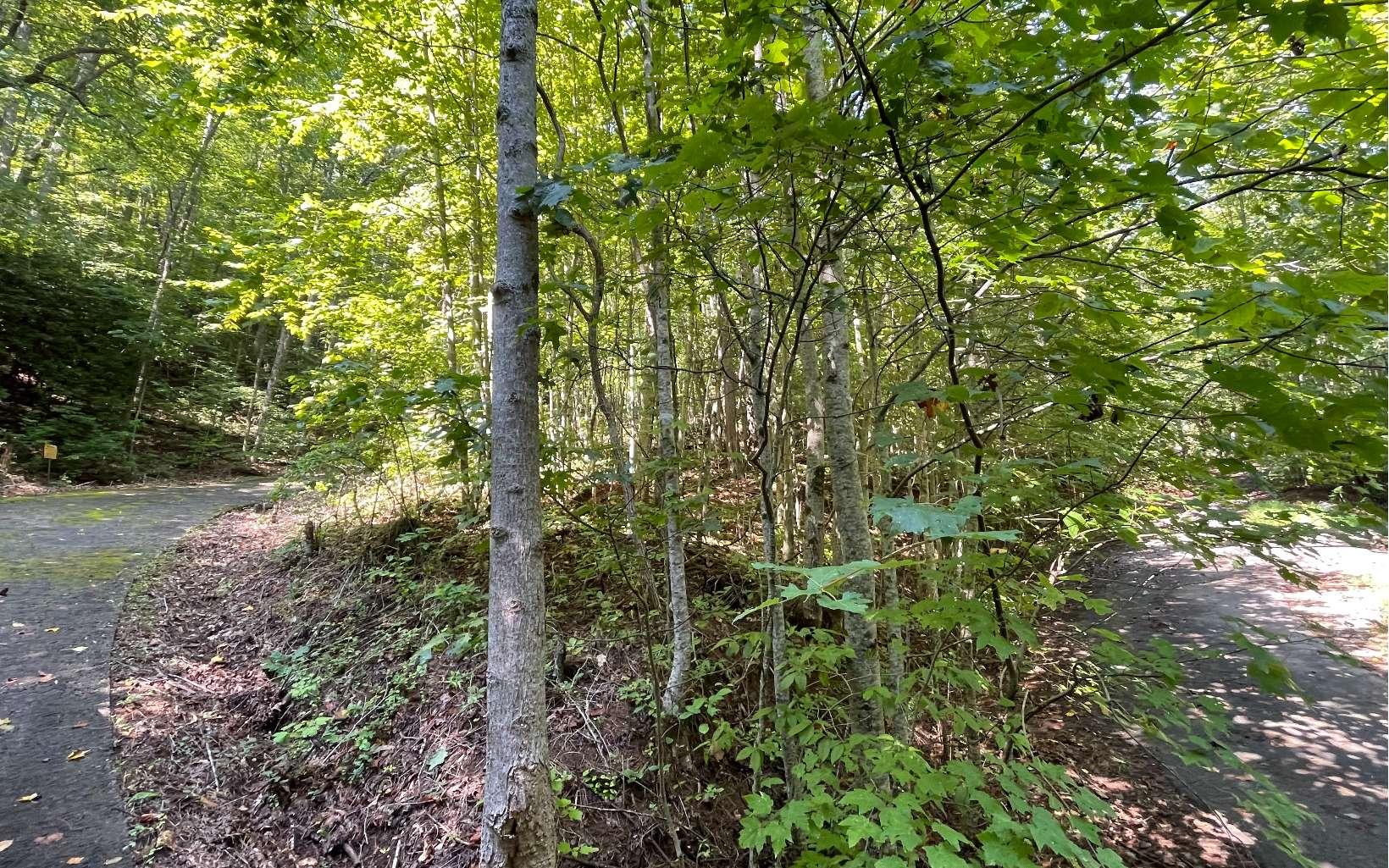 Image 3: Additional View