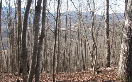 #8 Harris Ridge Road