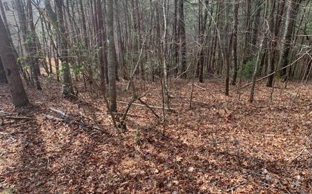 LOT20 Wolf Ridge Lane