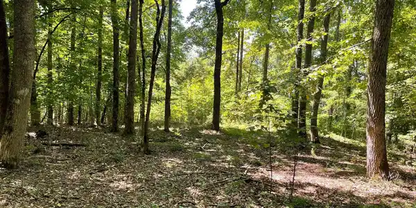 11B Grandview Drive