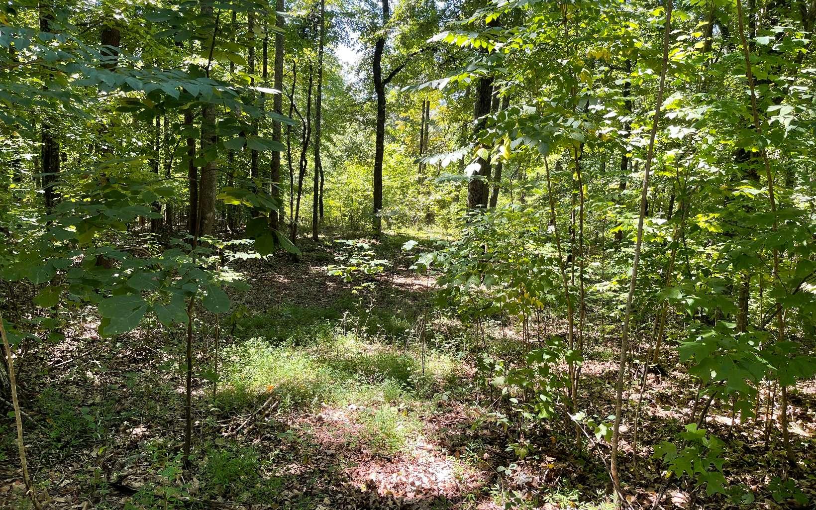 Image 2: Additional View
