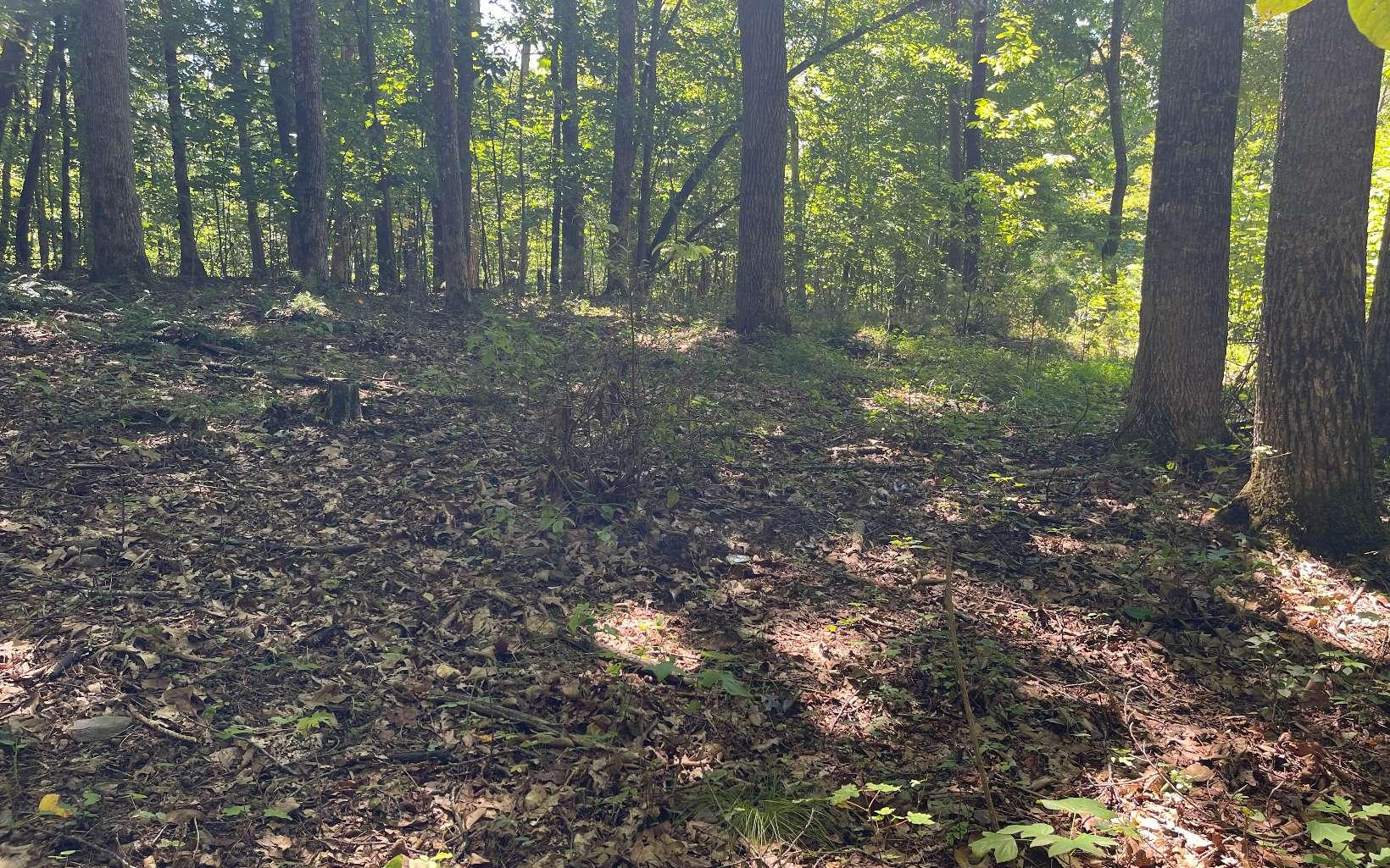 Image 3: Additional View