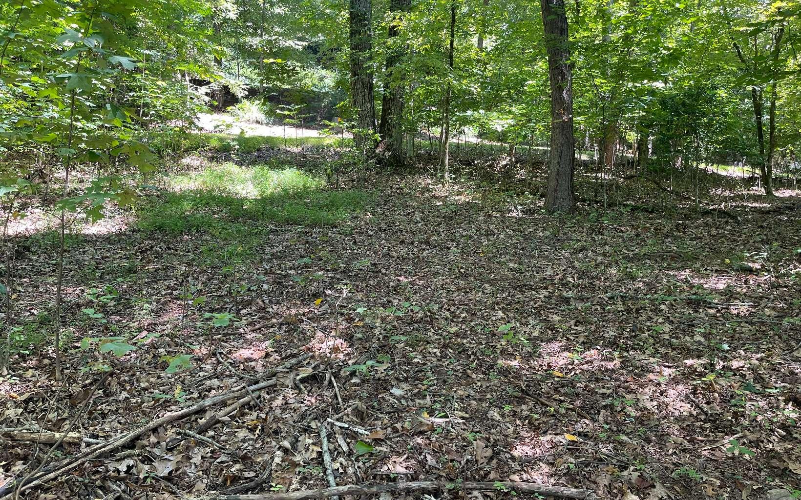 Image 4: Additional View