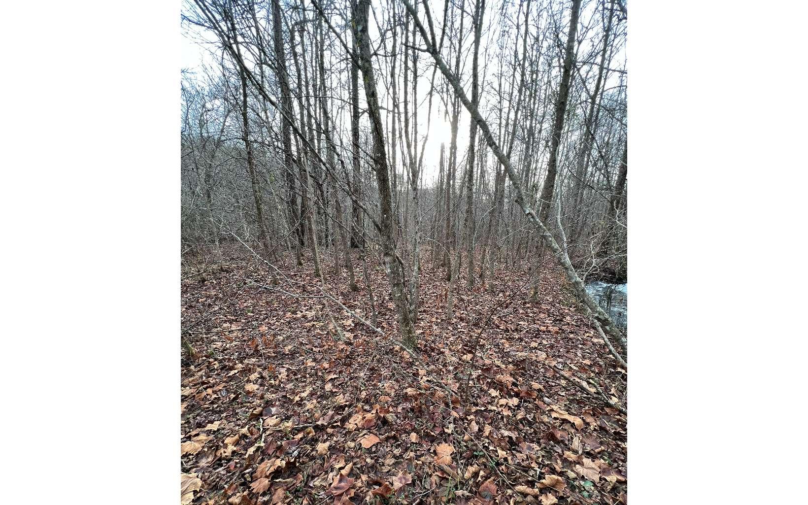 Image 4: Additional View