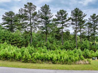 Lot 337 Loop Lane