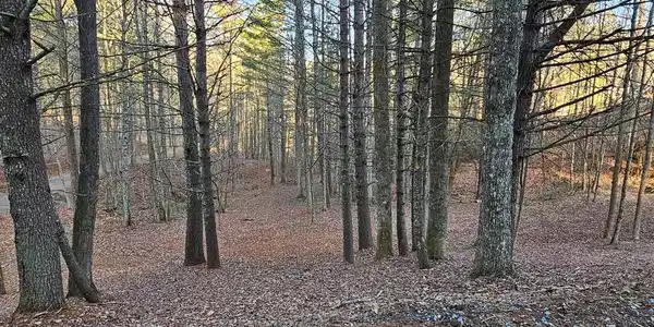 16 Merlin Trail
