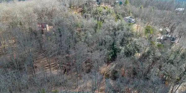 Lot 7 Squirrel Hunting Road