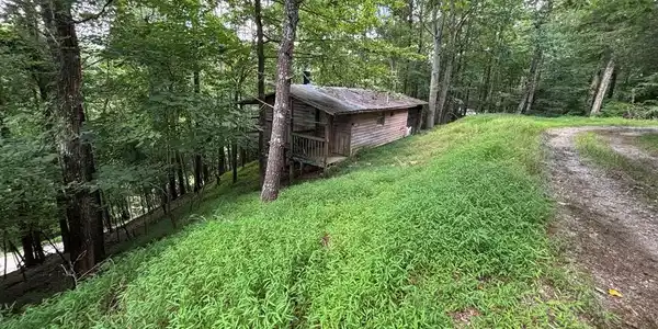1163 Tipton Springs Road
