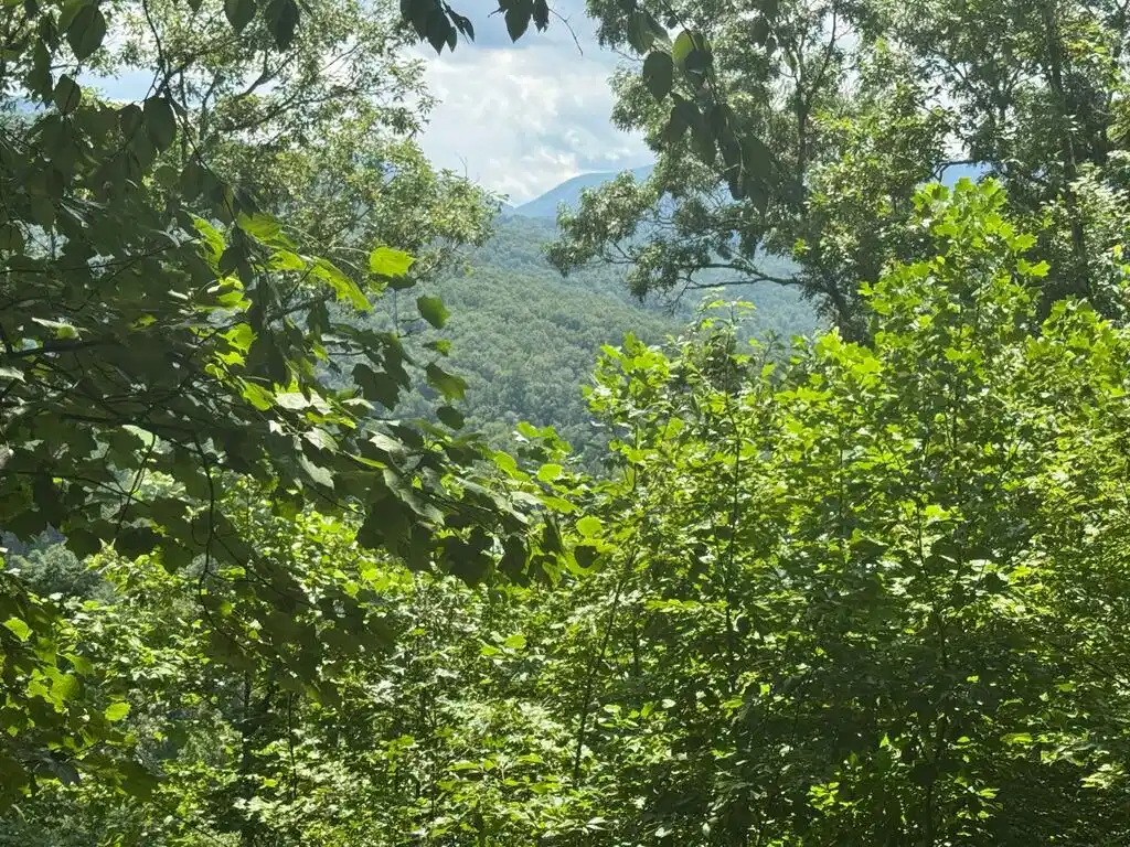 Image 1: Main View