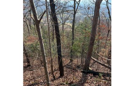 56C Indian Trail