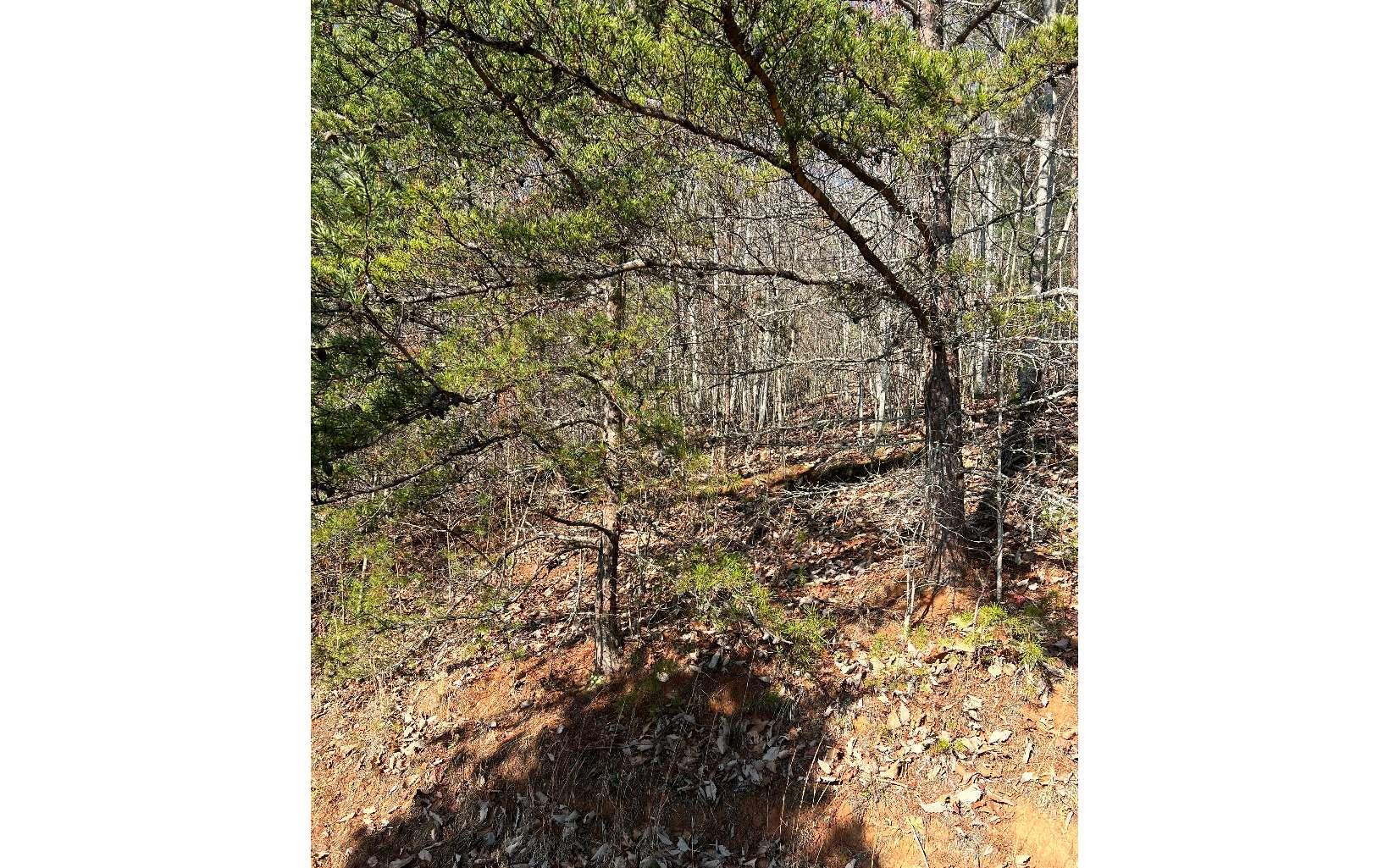 Image 3: Additional View