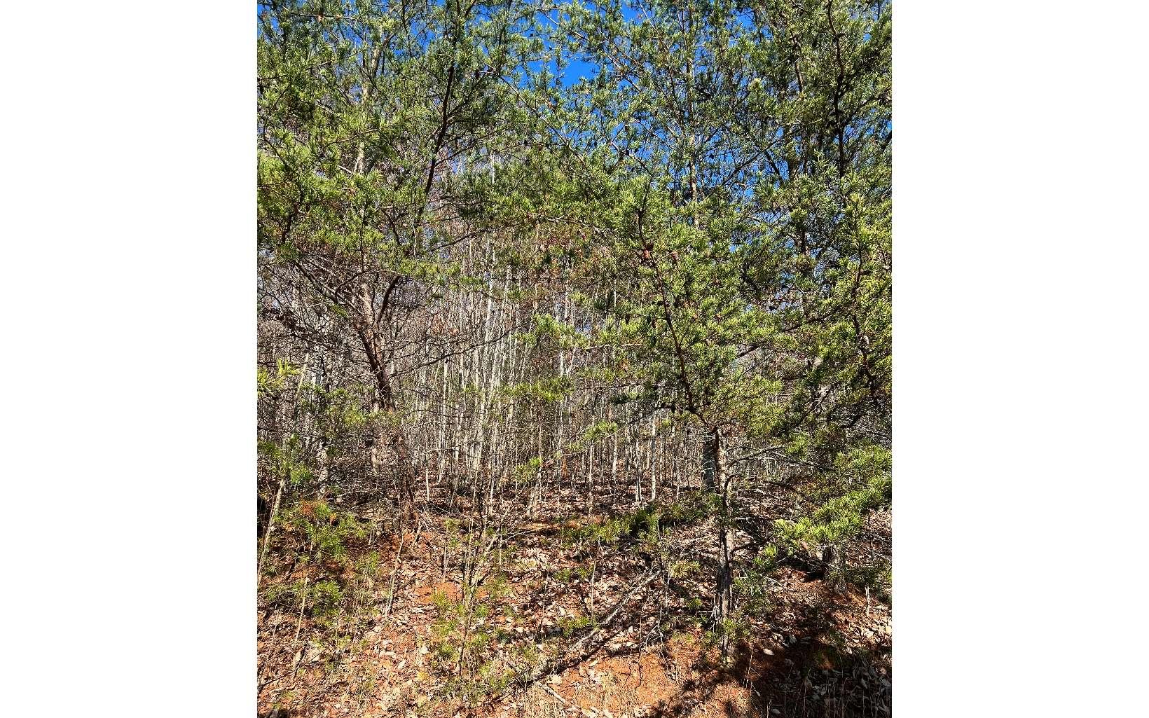 Image 4: Additional View