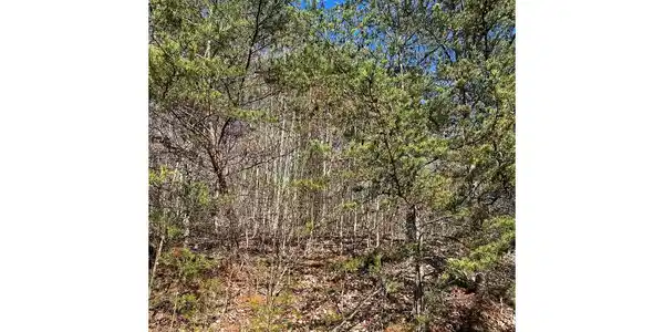 Image 4: Additional View
