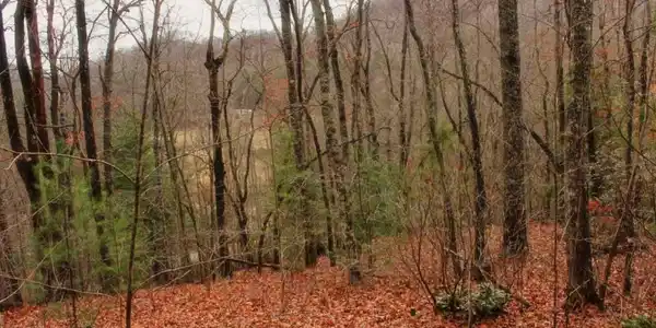 27 Nelson Ridge