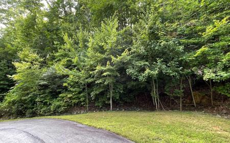 Lot 34 Overlook At Yh