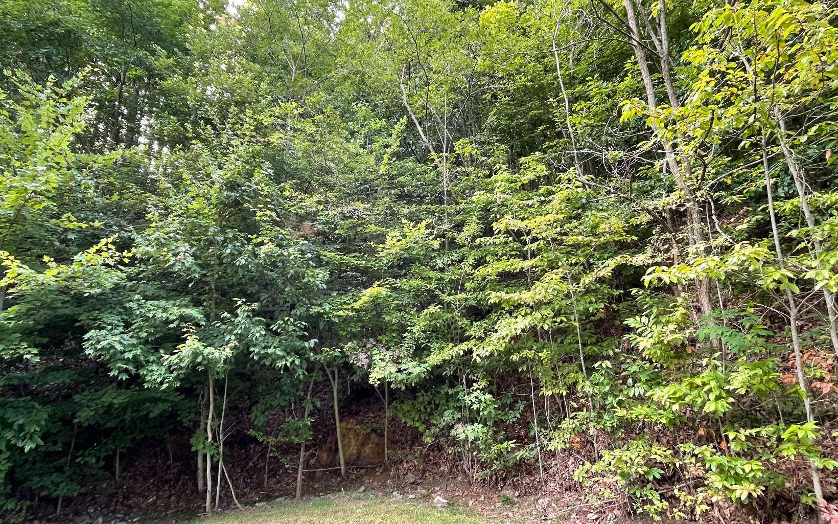 Image 2: Additional View