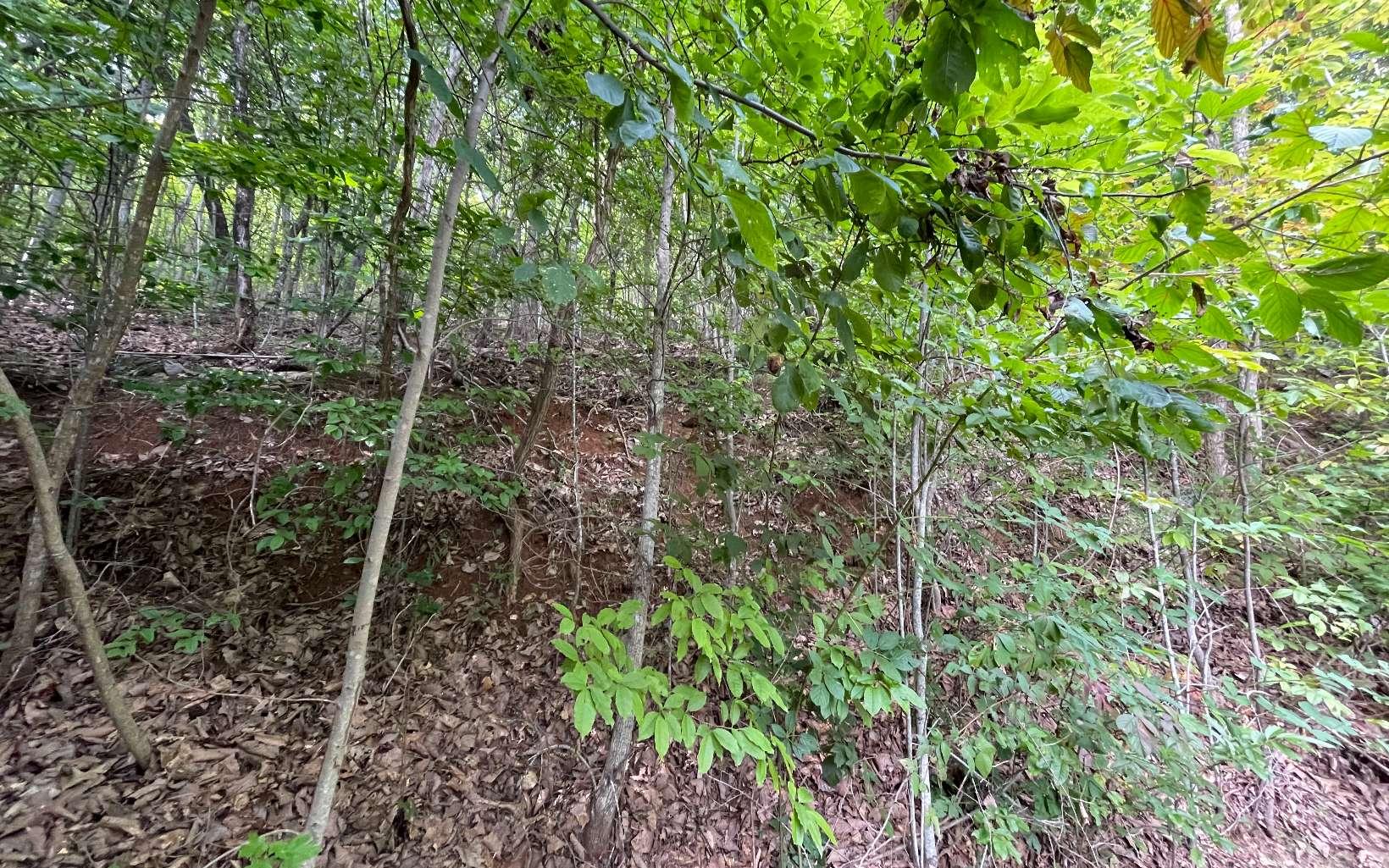 Image 3: Additional View