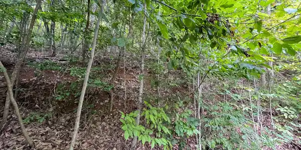Image 3: Additional View
