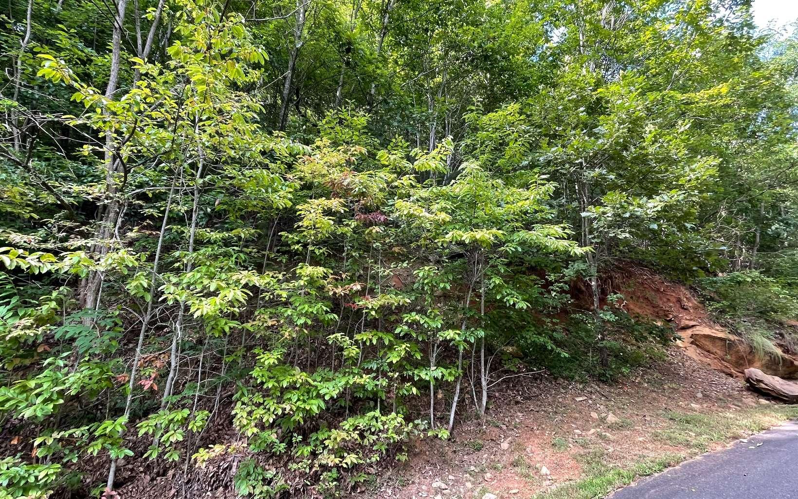 Image 4: Additional View