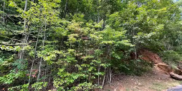 Image 4: Additional View