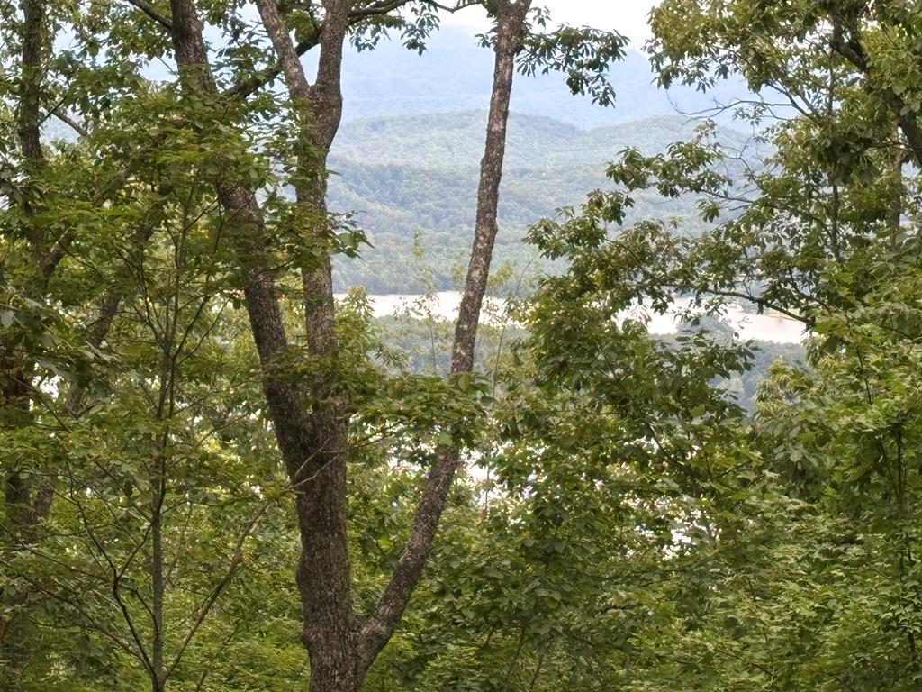 Image 1: Main View