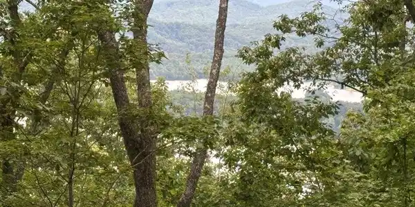 Lot 55 Eagles View