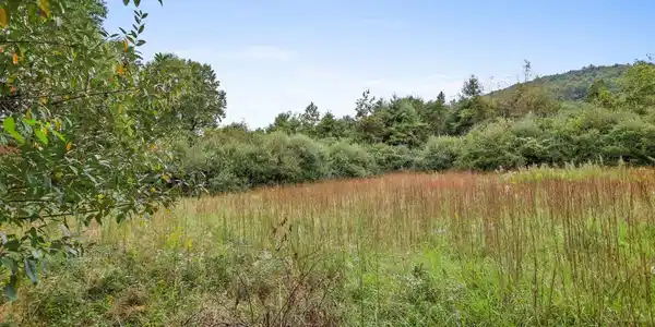 Image 4: Additional View