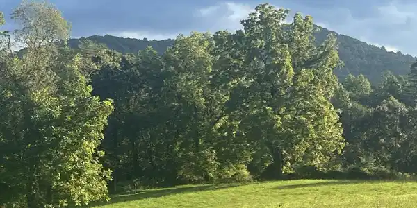 5.8 ac Lebanon Road