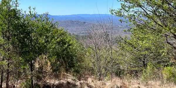 Patriot Ridge