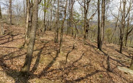 Little Hendricks Mtn