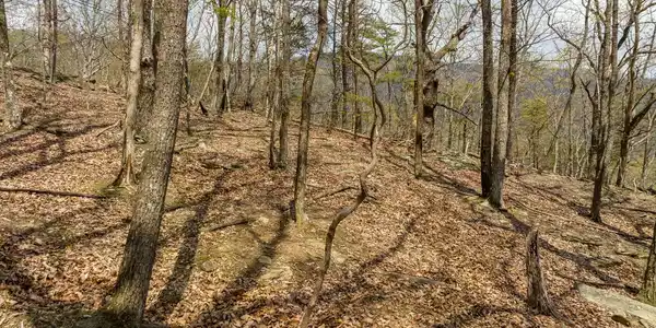 Little Hendricks Mtn