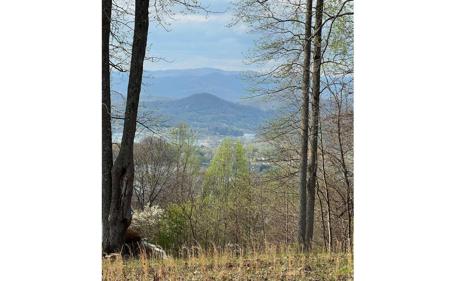 LOT74 Eagles View Smt