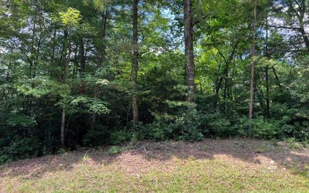 Lot 32 Fires Creek Cove Road