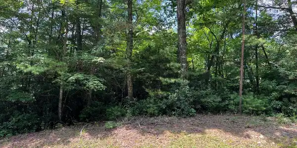 Lot 32 Fires Creek Cove Road