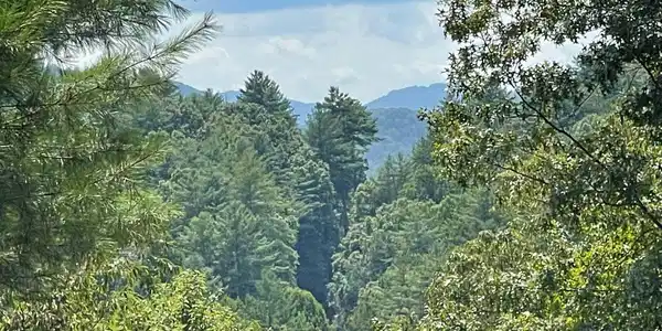 Lot 71 Fires Creek Cove Road