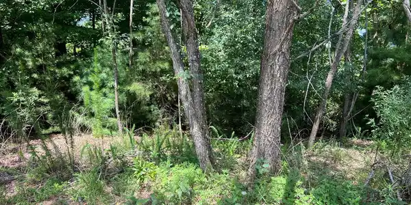 Lot 59 Fires Creek Cove Road