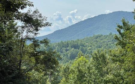 Lot 72 Fires Creek Cove Road