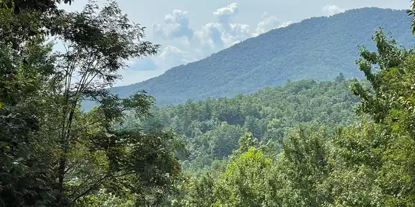Lot 72 Fires Creek Cove Road