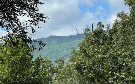 Lot 73 Fires Creek Cove Road