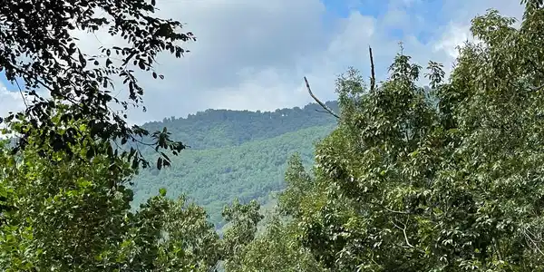 Lot 73 Fires Creek Cove Road