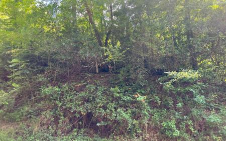 Lot 75 Fires Creek Cove Road