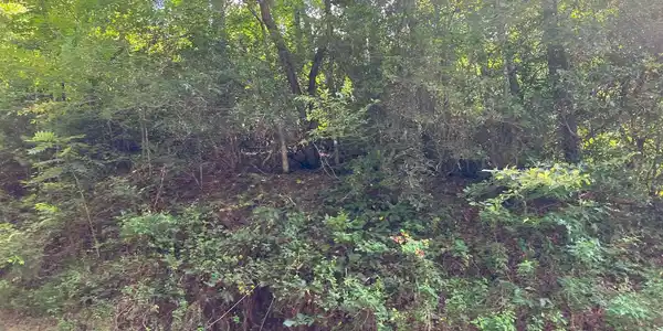 Lot 75 Fires Creek Cove Road