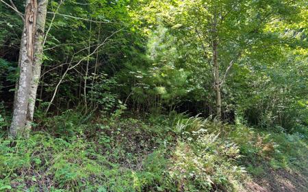 Lot 69 Fires Creek Cove Road