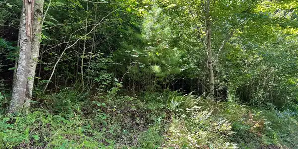 Lot 69 Fires Creek Cove Road