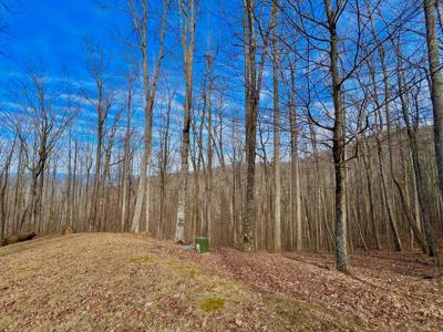 57 Rim Rock Court