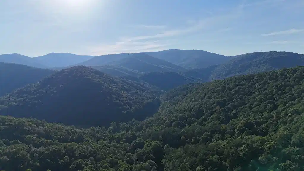 Image 1: Main View