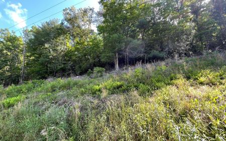 Lot 2 Fires Creek Road