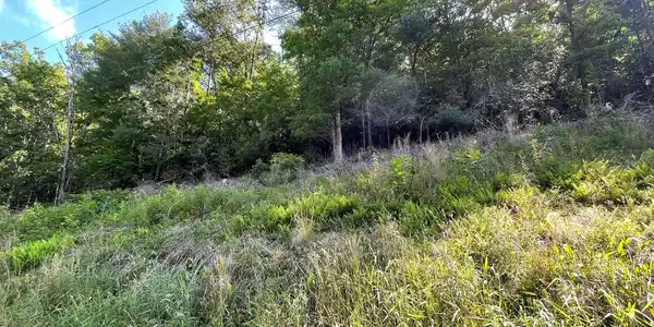 Lot 2 Fires Creek Road